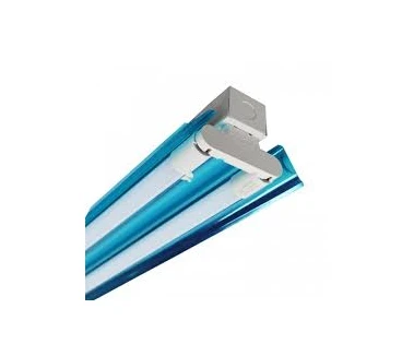 Máng đôi 60cm có chóa inox